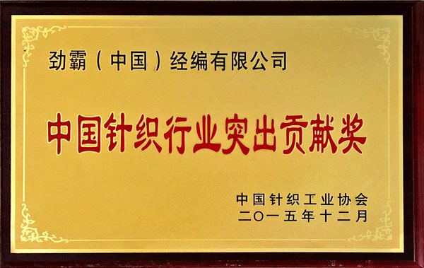 China Knitting Industry Outstanding Contribution Award plaque